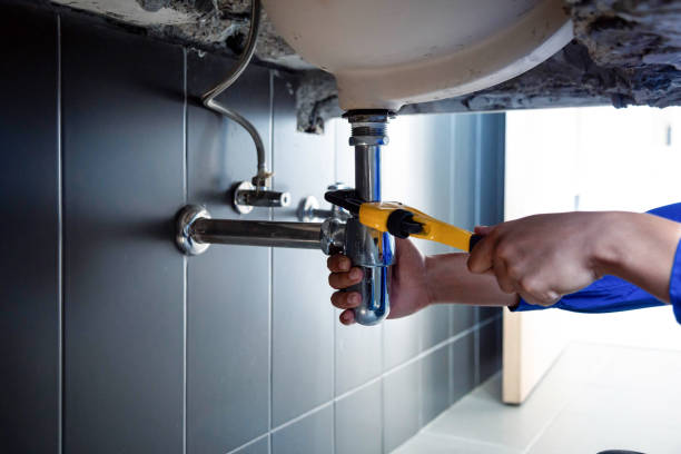 Best Commercial Plumbing Services  in South Barre, VT